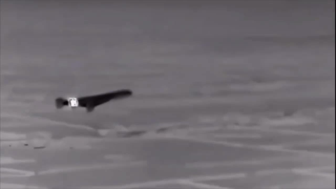 Ukrainian Helicopters Fly Alongside Shahed Attack Drones