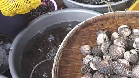 Farmer cooking -Fresh seafood, Muscle & Crabs