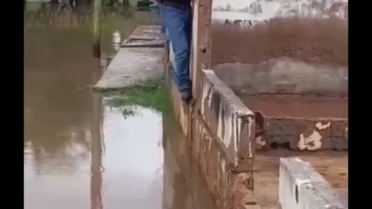 Best Funny Videos of the Month - Fails & Hilarious Moments