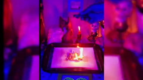 Tim Rifat TikTok Videos