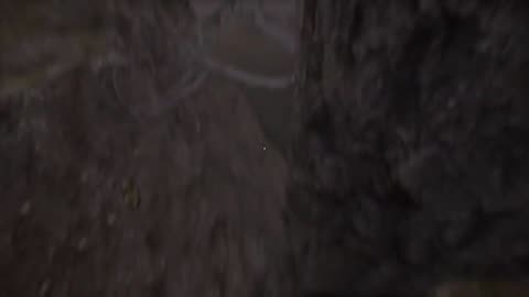 The dead tree of ranchiuna glitch