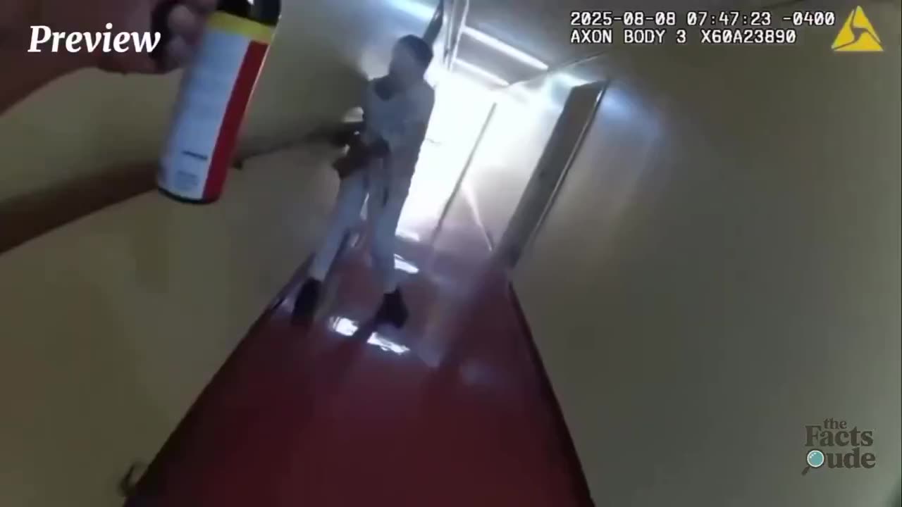 Old black lady attacks police, gets deleted