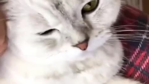 😁😁😁😁