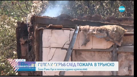#Новини #NEWS #LIVEhighlights #TikTokLIVE #LIVE #BulgariaNews