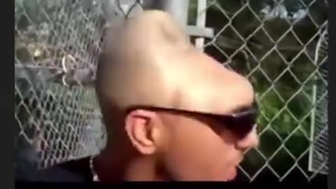 Hilarious Moment Caught on Camera! 😂 | You Won’t Stop Laughing