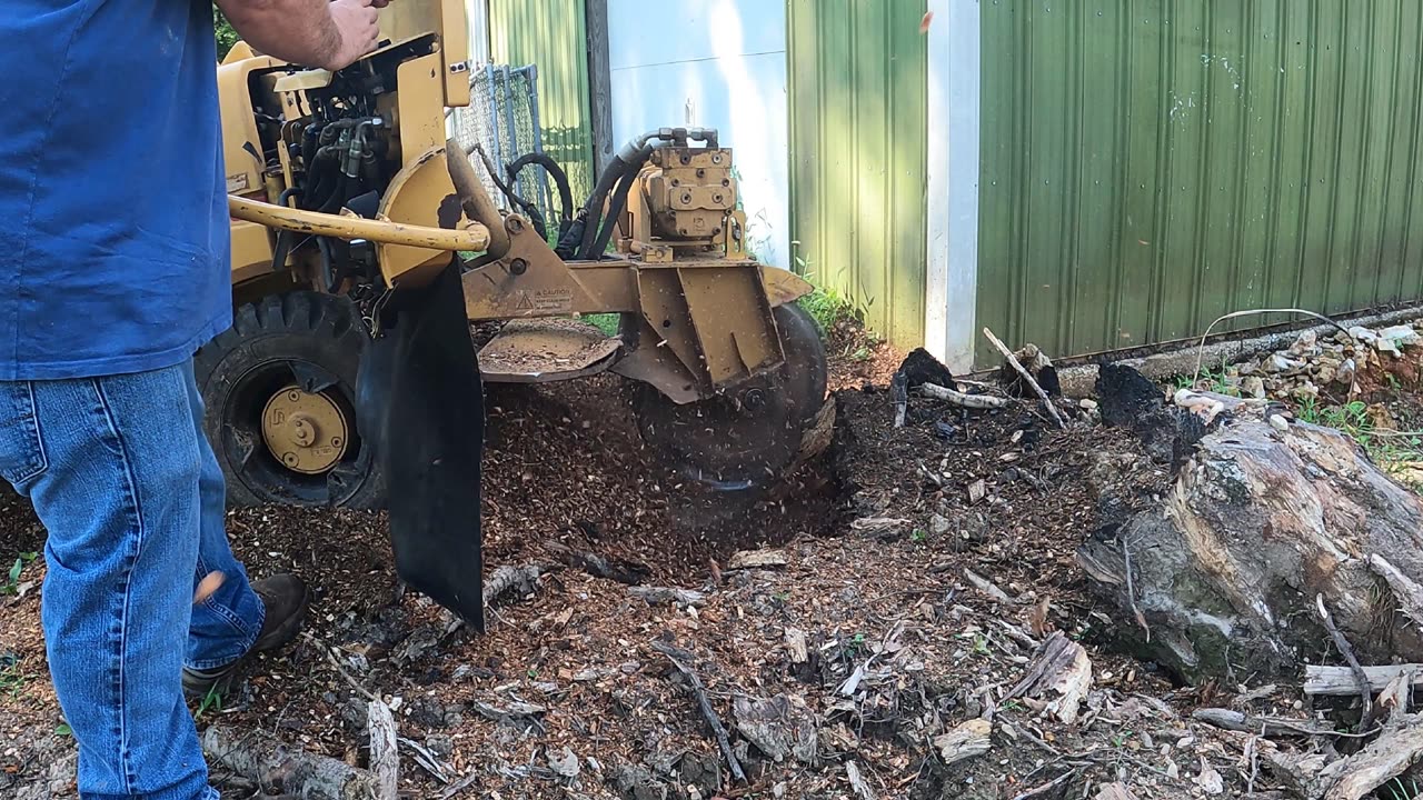 How Did I Get into This Stump Grinding Mess!