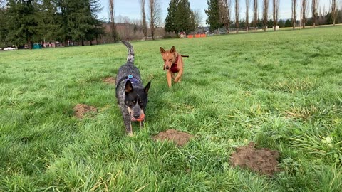 mac don park patrol 2908204982