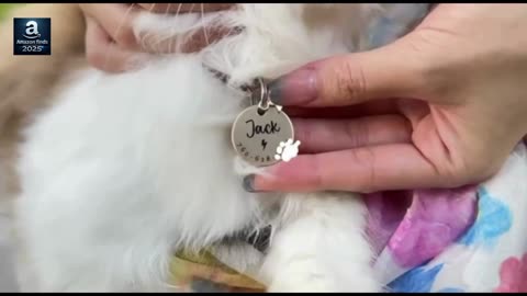 Must-Have Custom Pet ID Tags for Cats & Dogs 🐾✨