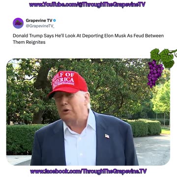 Donald Trump Says He'll Look At Deporting Elon Musk As Feud Between Them Reignites