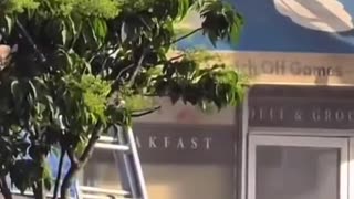 HORROR IN NYC: FDNY probes fatal ladder failure in Brooklyn fire rescue