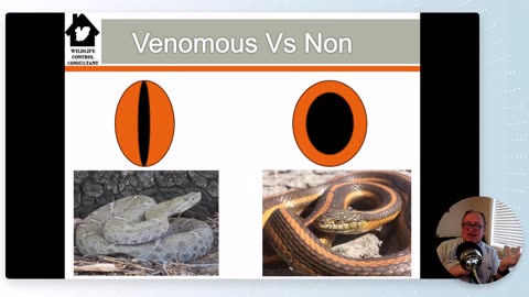 Is Milorganite an effective repellent for non-venomous snakes?