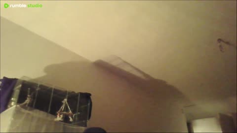 MIKE SAHA LIVE