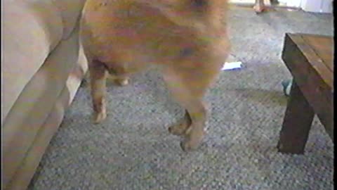 2000-VA-Lydia-Lindsay