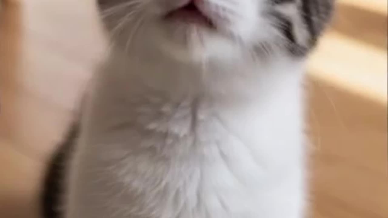 Are you Angry?
