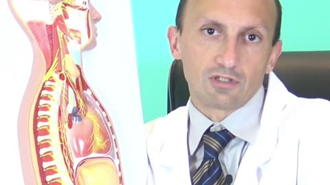 Mal di Schiena: Dove Origina Realmente? E' Veramente Causato da Infiammazione o Contrattura?