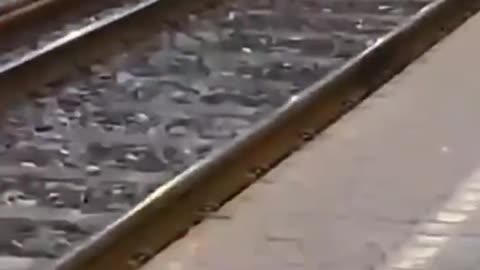 What is this?