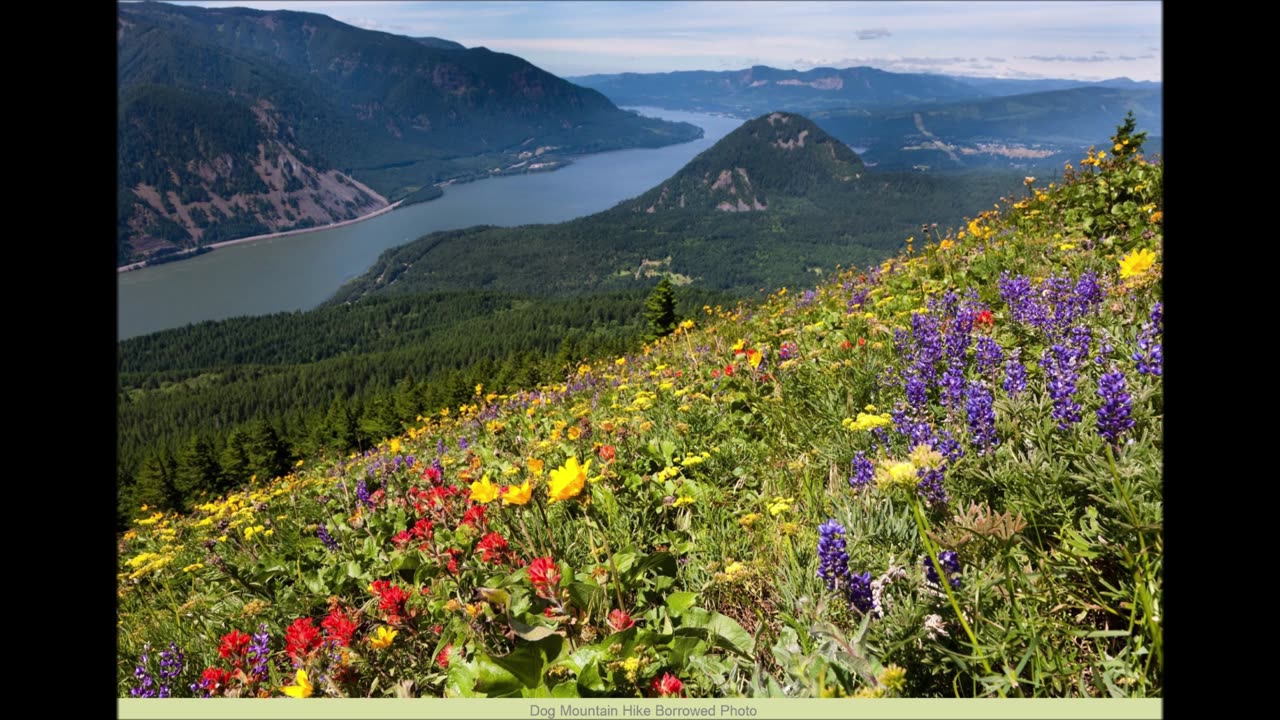 Dog Mountain Hike - (Columbia Gorge Area)