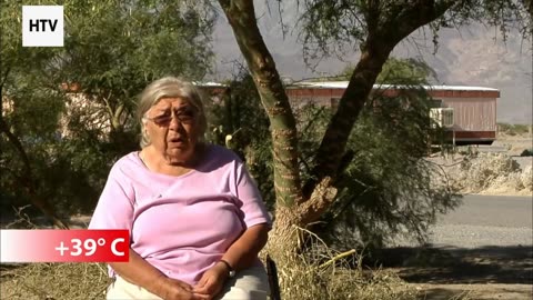 Clash of Instincts: Predator vs. Prey