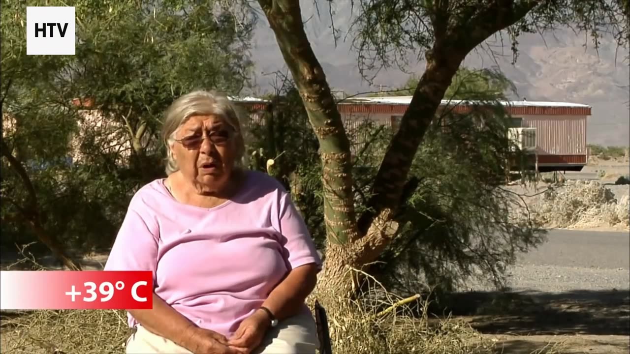 Clash of Instincts: Predator vs. Prey