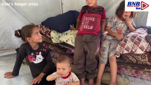 Gaza's hunger crisis