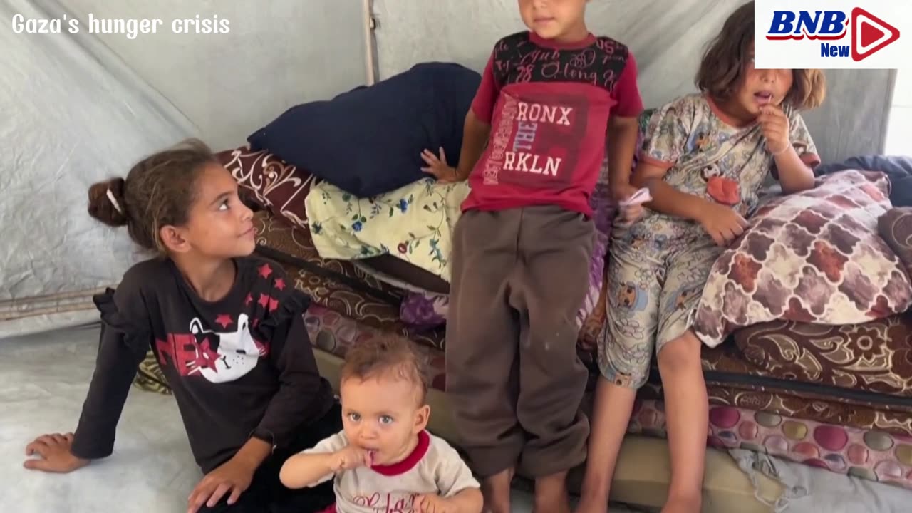 Gaza's hunger crisis