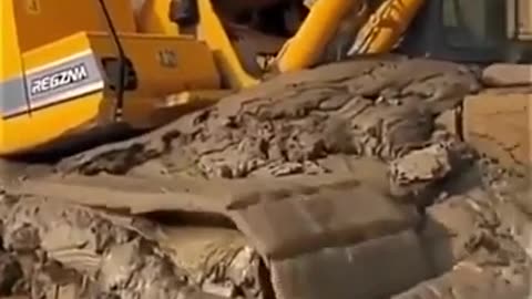 😮✨ Incredible Mud Escape! Watch This Creature Crawl Out! | FeedMyCuriosity