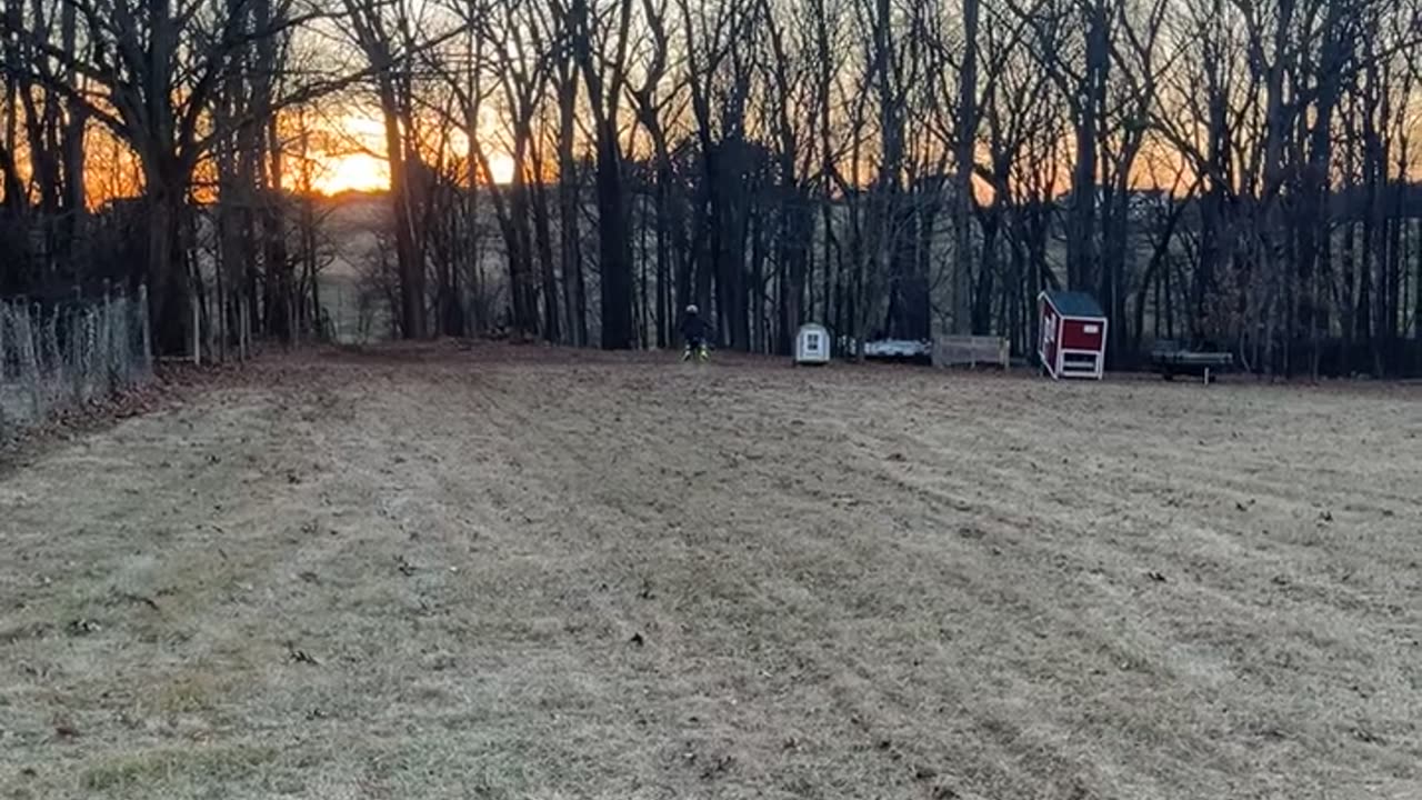 1999 yz250 build testing