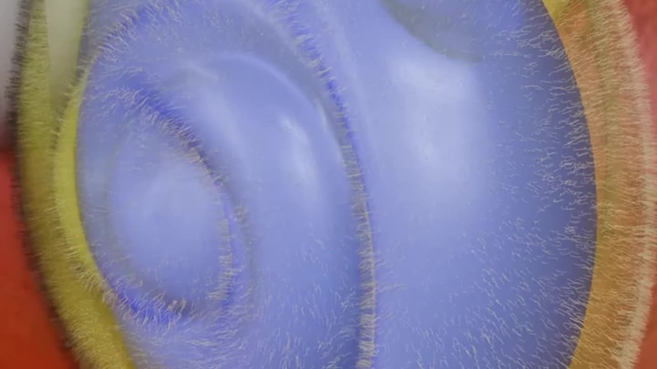 How Ear works