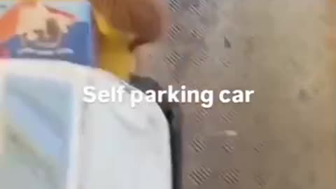 Self discipline