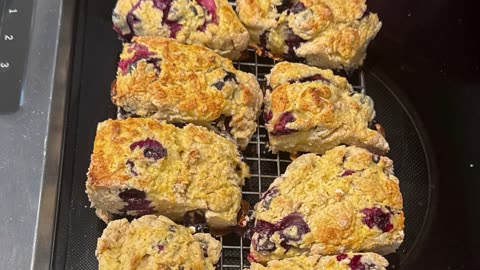 Blueberry Scones /Biscuits (USA)