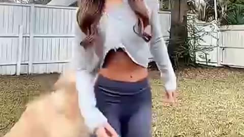 Funny Animal Videos