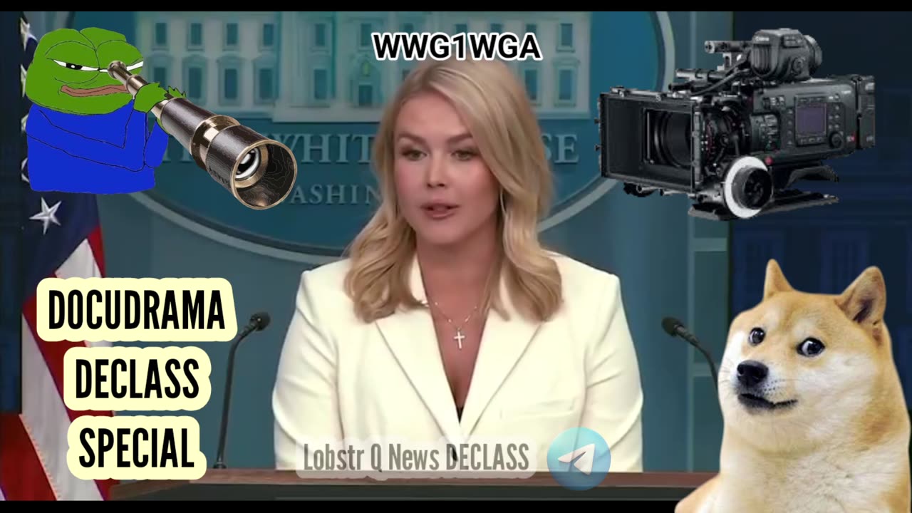 Docudrama DECLASS Doge Special