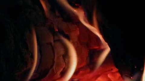 Daily Horoscope | Aries 🌟