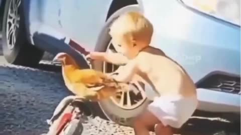Giving the Chicken a Ride! 🐥 Road Trip Ready!
