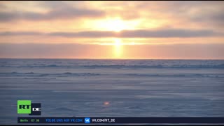 RT DE LIVE-TV