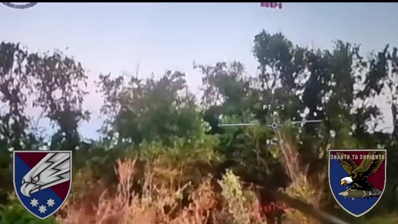 Ukrainian Paratrooper Drone Unit Spots 2 Russian Soldiers Unloading a Truck