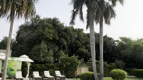The Taj Nadesar Palace Gardens!