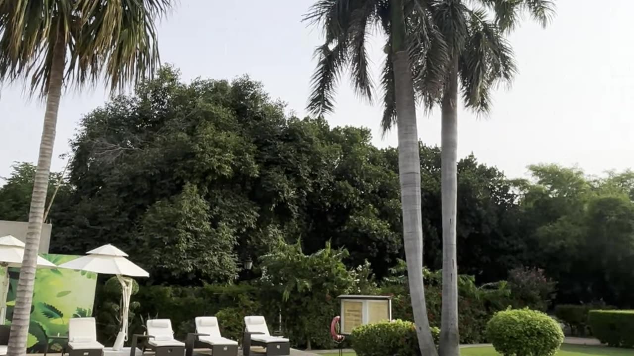 The Taj Nadesar Palace Gardens!