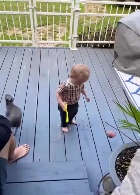 Two years ago my baby brother Harrison was born. My dads weren