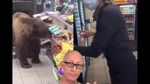 Amerikában a medvéket már sikerült civilizálni...