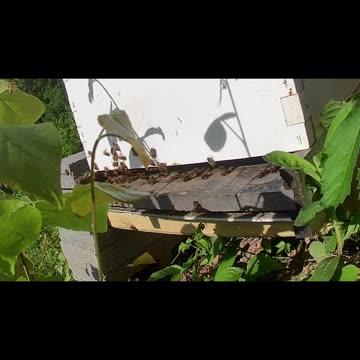 Monday Morning Sun Up