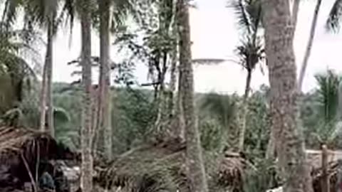 Midnight Tsunami- Philippines’ Deadliest Sea Disaster #MoroGulfTsunami