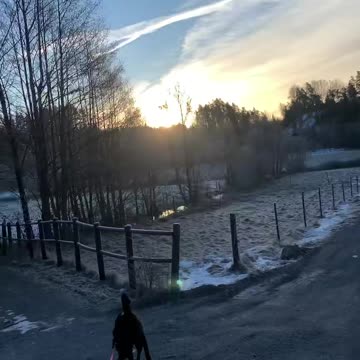 Beautiful mornings ☀️