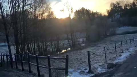 Beautiful mornings ☀️