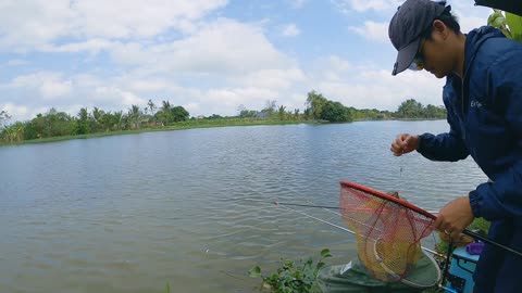 Crayfish Spin Fishing in River Rock Pools