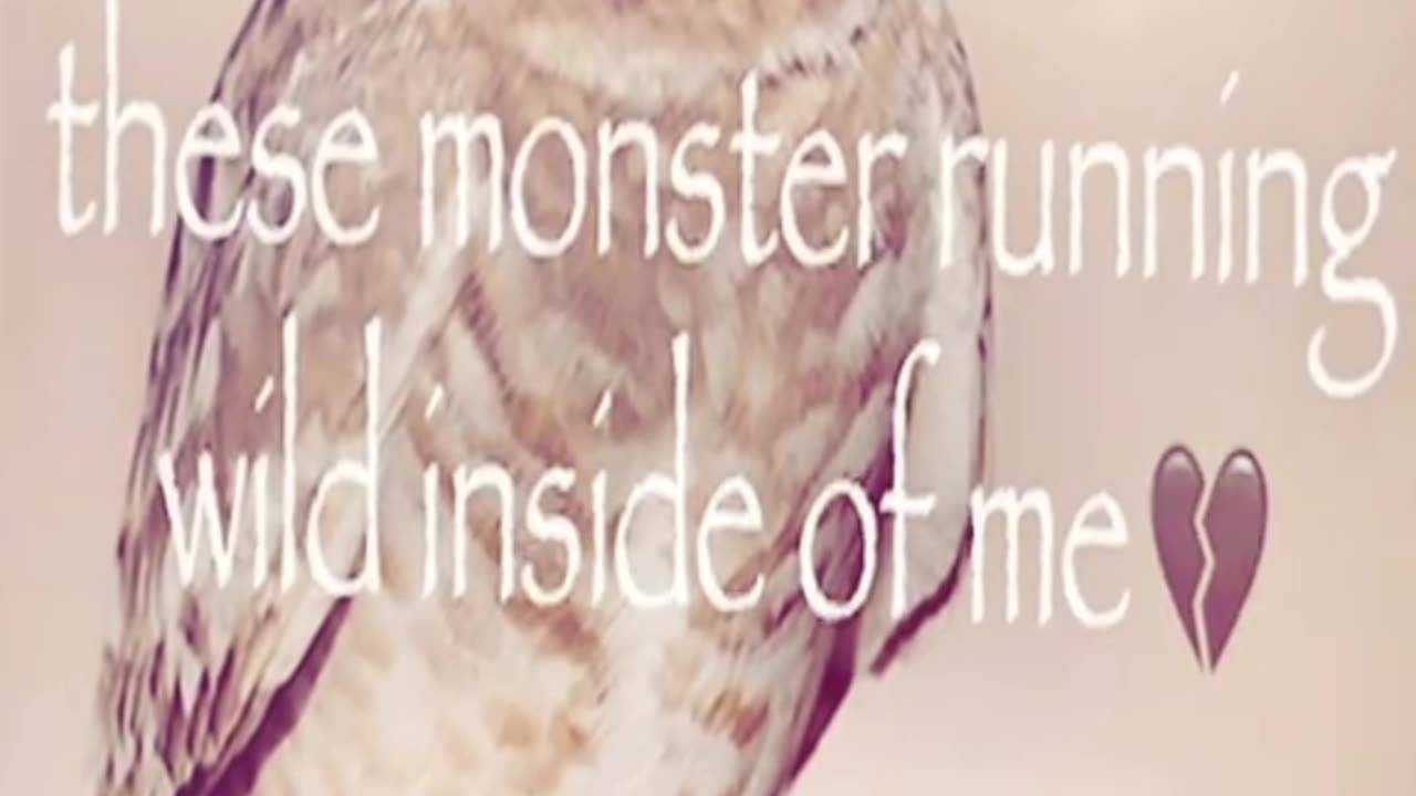 Cat-Owls - Where are you now