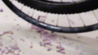 What is the weight of dried tire sealant in a bicycle tyre? Tubeless technology for bicycles.