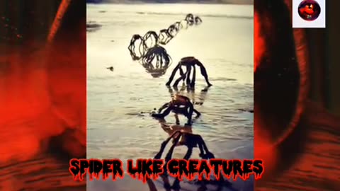 😨🕵️‍♂️ What the Hell Are Those Strange Figures? Paranormal Mystery | TheHauntingHour