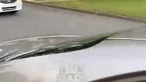 🤯🚗 You Won't Believe How This Suspect Escaped! | FeedMyCuriosity