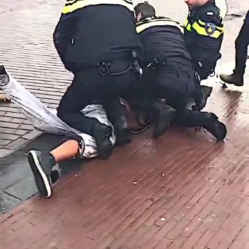 Poor adorable puppy, let's hope he didn't hurt his teeth